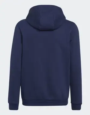 Adidas Sudadera con capucha Entrada 22