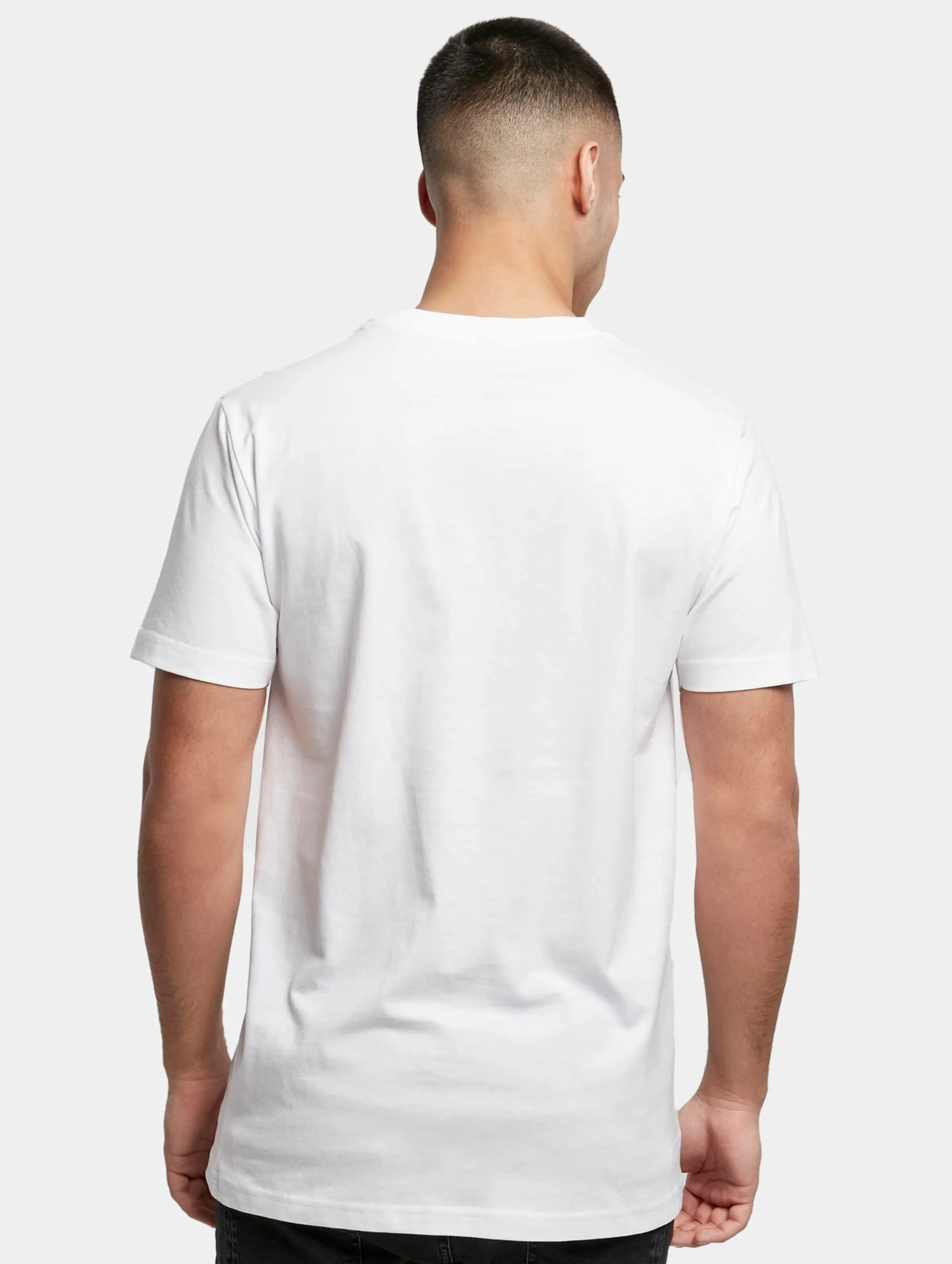 Mister Tee Fuck It 2.0