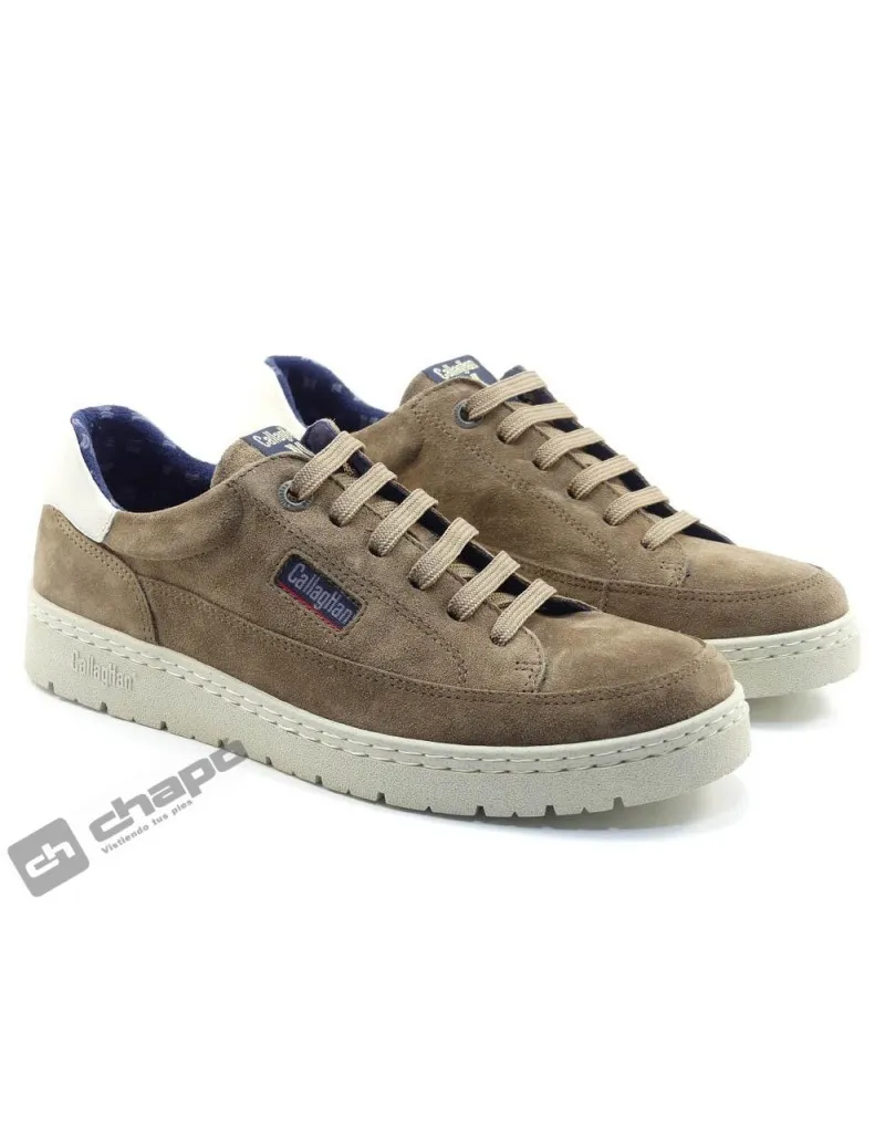 ZAPATILLAS DEPORTIVA TAUPE CALLAGHAN 5581555215