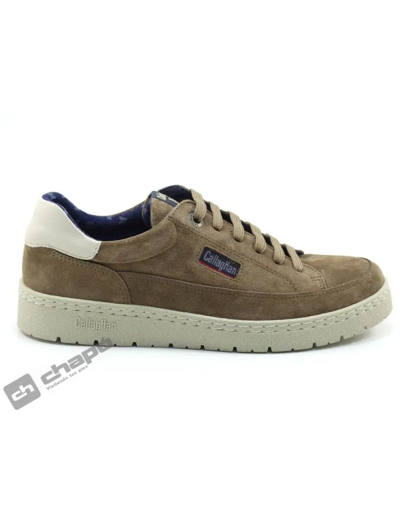 ZAPATILLAS DEPORTIVA TAUPE CALLAGHAN 5581555215