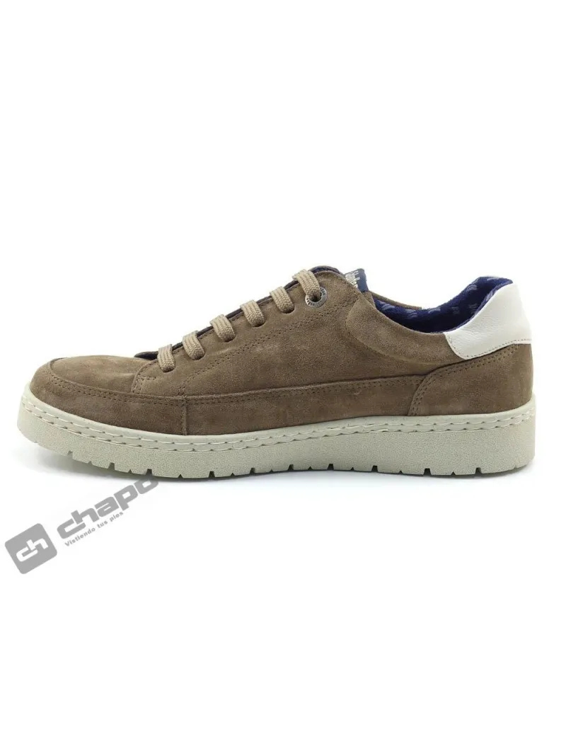 ZAPATILLAS DEPORTIVA TAUPE CALLAGHAN 5581555215